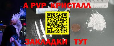 стаф Тула